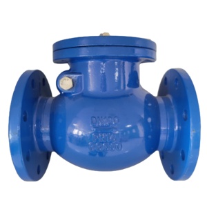 <span class=keywords><strong>Clapet</strong></span> <span class=keywords><strong>anti</strong></span>-<span class=keywords><strong>retour</strong></span> à disque en fonte ductile recouvert d'EPDM pour le traitement des eaux usées et l'irrigation de l'<span class=keywords><strong>eau</strong></span> <span class=keywords><strong>potable</strong></span> - Product Image 1