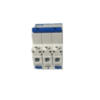 Disjoncteur miniature CHINT 63A NXB-63-C32/3P 110/220V, structure plastique et métallique, certifié CCC, équipement de distribution d'énergie