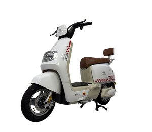 จักรยานไฟฟ้าสำหรับผู้ใหญ่ รุ่น Bike For Kit Bicycles 1000W สำหรับในเมือง ขนาด 20 นิ้ว/ 48V กำลังสูง ราคาประหยัด มอเตอร์ขับเคลื่อนกลาง ระบบควบคุมความเร็วอิเล็กทรอนิกส์ - Product Image 3
