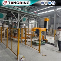 Paletizador de Columnas Estable, Estructura Simple, Rentable para Líneas de Producción de Pequeñas y Medianas Empresas