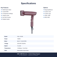 Sèche-cheveux pliable HSL - Moteur BLDC 1600W 110 000 tr/min à haute vitesse, protection thermique ionique, diffuseur/buses étroites/larges pour usage domestique