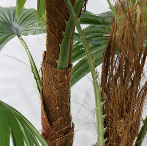 Pianta Artificiale di Palma a Ventaglio Multipolare Altamente Realistica per Decorazione Casa, Hotel e Giardino - Product Image 4