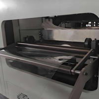 Industriële hoogwaardige multi-station thermoformmachine voor wegwerpverpakkingen, fruitbakken & kwekerspotten