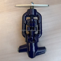 Vanne à soupape à haute pression en acier forgé durable DN10 DN20 DN25, type à souder bout à bout pour système de vapeur de centrale thermique