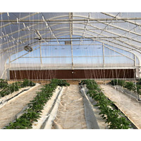 Grote Hydrocultuur Kas Apparatuur Voor Het Kweken Van Groenten Polycarbonaat Cover Sheet Voor Buitenshuis Gebruik