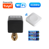 Détecteur de fuite d'eau sans fil Tuya WIFI à piles avec vanne motorisée en laiton DN15 (1/2 po) à arrêt automatique et capteur de fuite d'eau WIFI