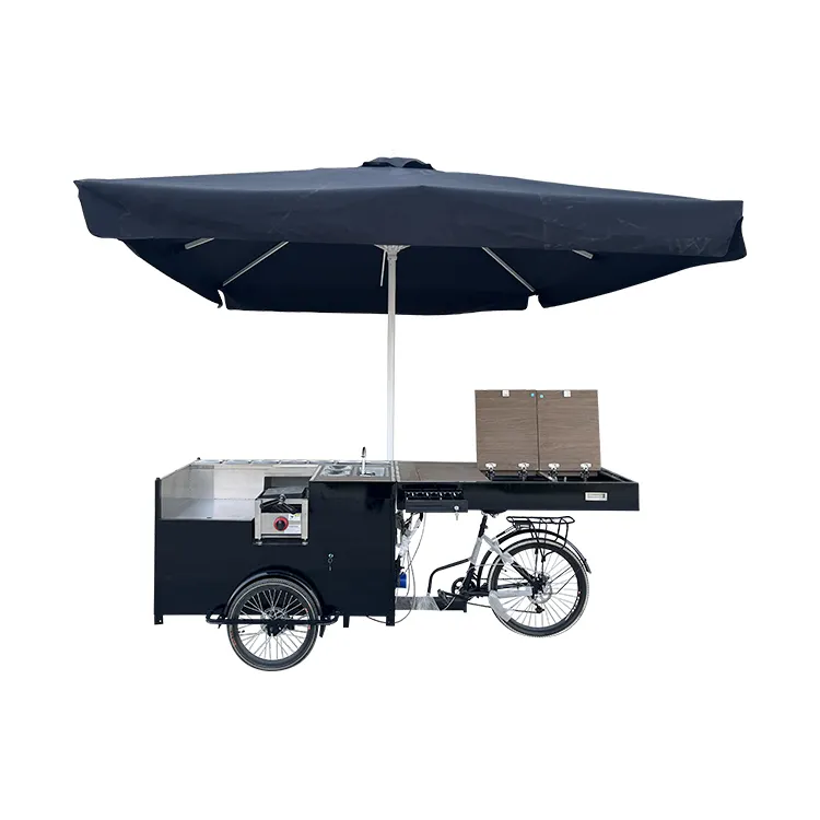 Avrupa tarzı elektrikli güneş buz kutusu ile dondurma otomatı üç tekerlekli bisiklet elektrikli yetişkin kargo üç tekerlekli bisiklet kahve otomatı Trike gıda sepeti