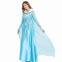 2022 vêtements adulte Costume femmes déguisement neige Elsa Costume pour adulte HCGD-056