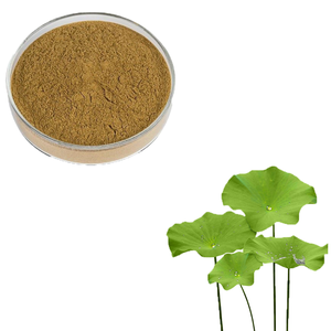 Alta Qualidade 2% Nuciferina Premium Food Grade Herbal Extrato Extrato De Folha De Lótus Orgânico Em Pó Extrato De Plantas Naturais - Product Image 4