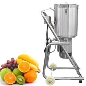 Purea di frutta pulper seabuckthorn mirtillo baobab Fruit mango machine