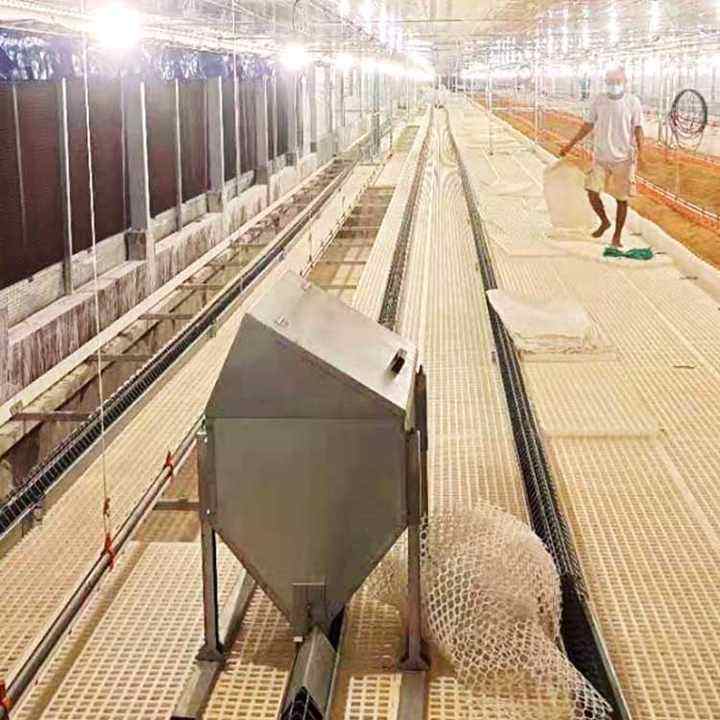 Automatic Poultry Farm Broiler Equipment Chain Feeding System