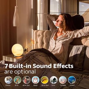 Natural Light Sunrise Alarm Clock Wake up Light up Alarm Clock - Product Image 3