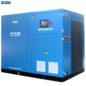 Économie d'énergie pour l'industrie 55KW 660V flexibilité entraînement direct stable compresseur à vis d'air sans huile à vendre