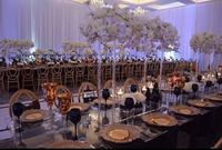 Meubles de mariage et d'événement noirs chaise de salle à manger en acrylique de mariage en résine plastique chaise Phoenix