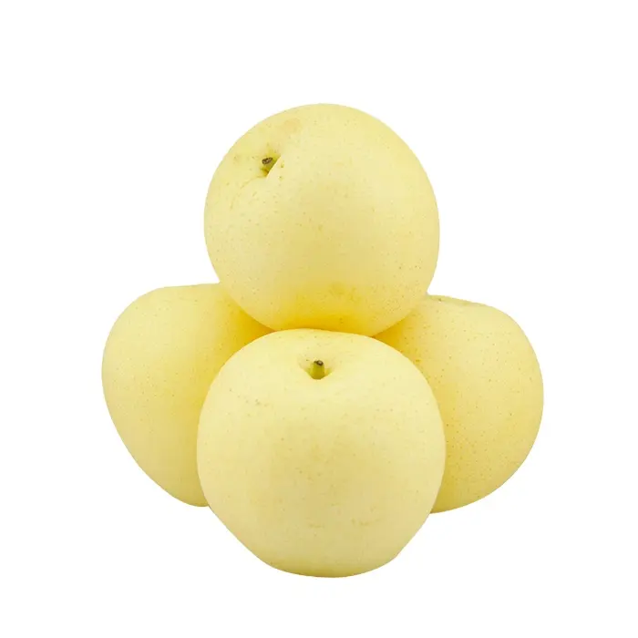 New season asian pear fruits with competitive price hot selling