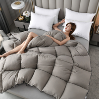 Literie alternative en duvet Couette d'hôtel avec onglets d'angle Couette climatisée contractée quatre/4 saisons