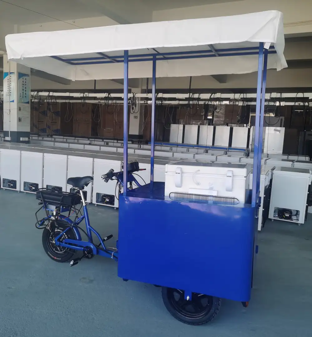 Рикша/аккумулятор/Солнечный/DC Солнечный водяной насос морозильной камеры 108 л трехколесный велосипед-киоск для мороженого/трехколесного велосипеда/велосипед/кары/велосипед
