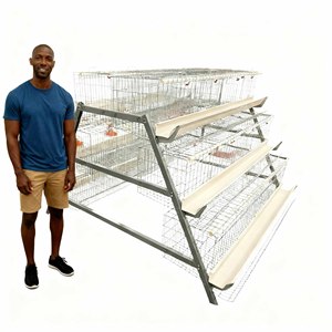 Lồng gà đẻ trứng, lồng thu trứng, 120 con, chuồng gà đẻ trứng cho gà mái, chăn nuôi gia cầm - Product Image 1