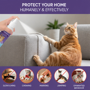 Fabricant OEM/ODM – Nouveau Spray Dissuasif pour Chats aux Extraits Végétaux Naturels – Anti-Rayures – Pour Empêcher les Chats de Gratter - Product Image 4