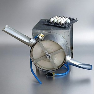 Lavadora de Huevos Industrial de Acero Inoxidable de 1 Carril, de 2000 a 2200 Huevos por Hora, con Sistema de Ahorro de Agua - Product Image 1