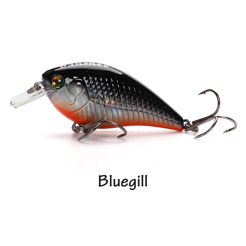 Bluegill