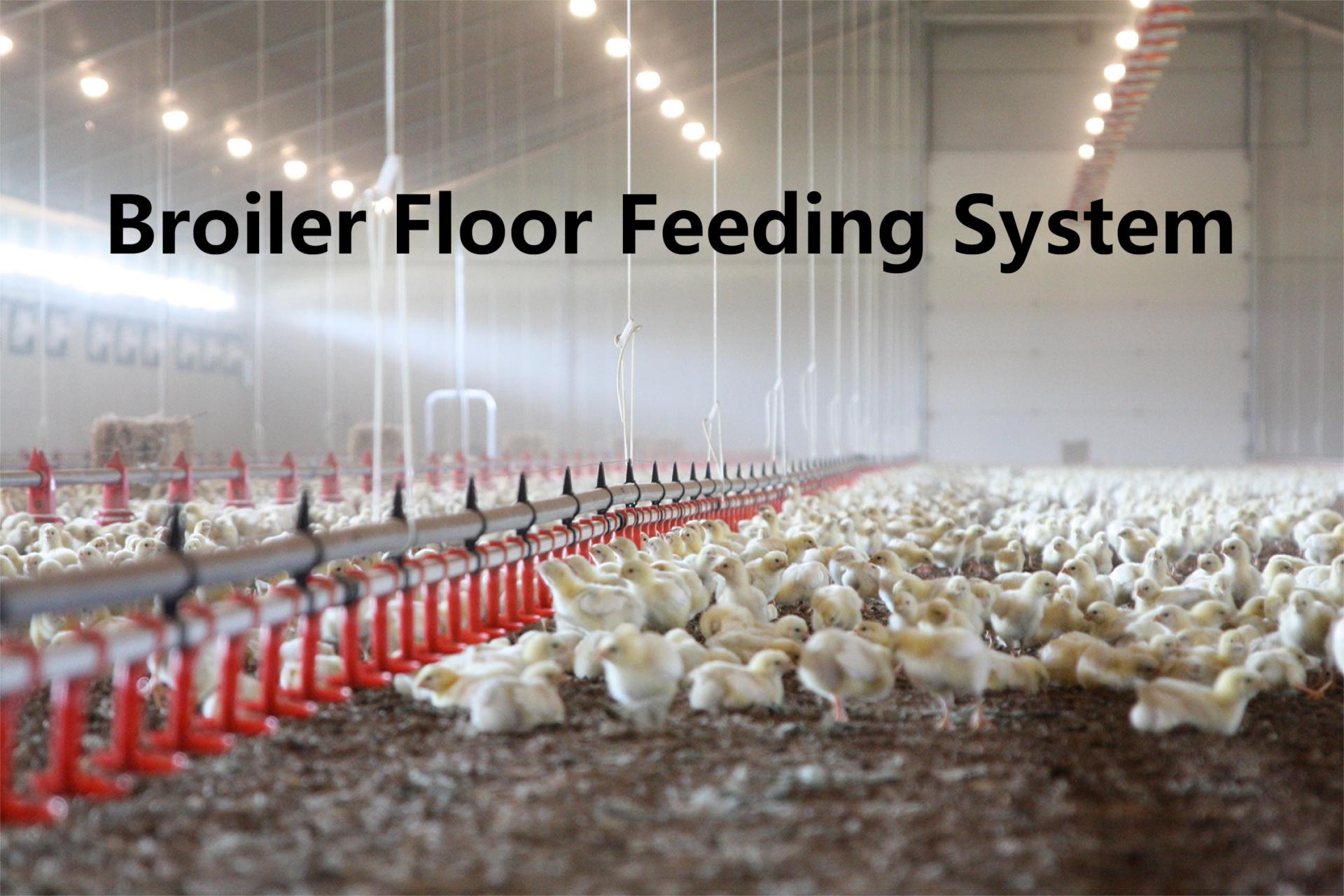 Floor Broiler Pan Poultry Feeder Drinker Hot Gavanized Hopper