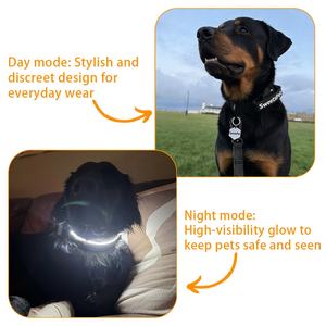 Zware-duty webbing zaklamp USB-lampje lichtgevend <span class=keywords><strong>glow</strong></span>-in-the-dark verlichte Cobra gesp tactische honden LED-halsband met handvat - Product Image 4