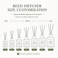 Coffrets de diffuseurs de parfum personnalisés, boîte d'emballage de luxe, flacon en verre de 90 ml, parfum d'ambiance pour la maison, coffret cadeau, OEM, étiquette privée, vente en gros