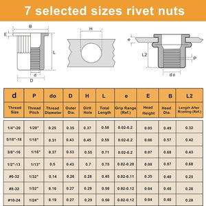 Rivet Nuts 885 Pcs Boxed Set Carbon Steel Flat Head Zinc Plated DIN Standard Rivet With Washer - Product Image 3