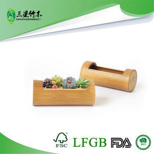 Bamboo <b>succulent</b> tube <b>succulent</b> planter bamboo flower <b>pot</b> creative bonsai DIY decoration, single section single hole household - Product Image 5