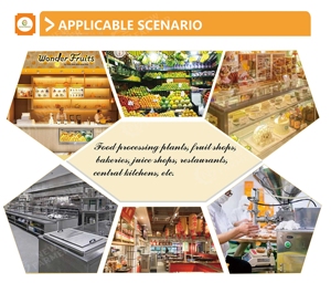 304 thép không gỉ dừa sữa vít Báo Chí lạnh công nghiệp trái cây Apple Lemon dứa nước trái cây máy nghiền Máy ép trái cây vắt máy - Product Image 6