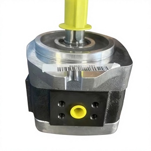 Pompe à engrenages interne IPVP4 IPVP5 IPVP6 IPVP4-20 IPVP5-40 IPVP6-64 |   Pompe à huile hydraulique à engrenages haute pression 315 bars - Product Image 2