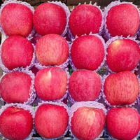 Goede leverancier verse Fuji appels exportprijs doos zoete smaak graad 1 maat 6cm 20kg oorsprong Shandong