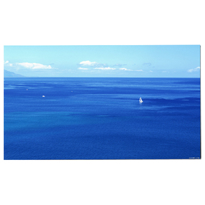 Module LCD moderne LM238WF5-SSE1 23,8 pouces 1920*1080 Écran tactile WLED Panneau LCD - Product Image 1