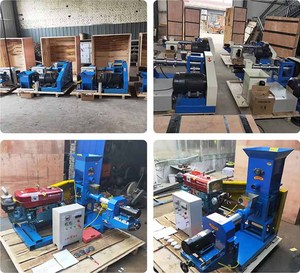 เครื่องทำอาหารสัตว์เลี้ยงสำหรับกุ้ง แมว สุนัข และเครื่องอัดรีดอาหารปลาแบบลอยน้ำ เครื่องอัดรีดเม็ดแบบสกรูเดี่ยวที่มีความเสถียร รูปทรงที่ปรับแต่งได้ - Product Image 3