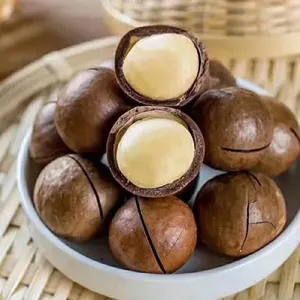 Agolyn Hot Selling Factory China Raw Macadamia Nuts For Sale