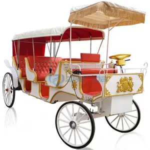 Factory price customized led light sightseeing horse carriage wagon / High quality electric sightseeing horse carriage buggy