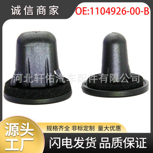 Pasacables de plástico cuadrado para luz trasera Tesla Model 3 Y Ford 1104926-00-B W718369-S300 - Product Image 5