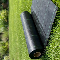 Toile paysagère agricole en PP tissé, barrière anti-mauvaises herbes, tapis anti-mauvaises herbes, couverture de sol, tissu traité anti-UV, perméable à l'eau, haute résistance