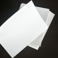 Feuille blanche en PP XUECHENG pour isolation de circuits imprimés, antistatique, résistante aux rayures, haute résistance diélectrique, protection de processus