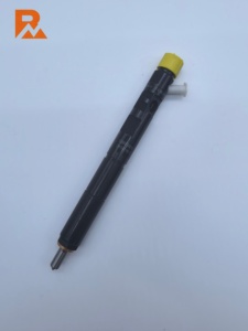 Injecteur common rail EJBR03902D 33800-4X400 pour R03901D/R03902D - Product Image 4