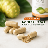 Direct van Indiase leverancier: hoogwaardige Noni-fruit capsules 10:1, natuurlijk op basis van planten, ter ondersteuning van een gezond zenuwstelsel, OEM.