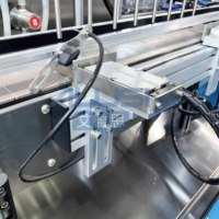 Machine de remplissage de liquides automatique électrique à 8 têtes à pompe magnétique contrôlée par PLC pour bouteilles en verre, eau, jus, boissons
