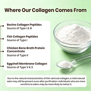 Collagène Multi-Sources OEM ODM GMP HACCP ISO22000 451g 41 portions avec Biotine Vitamine C Acide Hyaluronique - Product Image 4