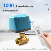 Válvula de Bola de Acero Inoxidable con Control Remoto, Funciona con Voltaje AC220V DC24V /12V