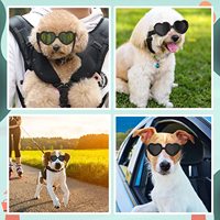 Lunettes de soleil pour chiots en forme de coeur directes d'usine Lunettes UV imperméables pour chiens