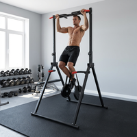 Tour de musculation multifonction professionnelle avec logo personnalisé, station de dips et barre de traction pour salle de sport, vente en gros