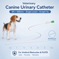 Cathéter urinaire pour chien en PVC 300 mm