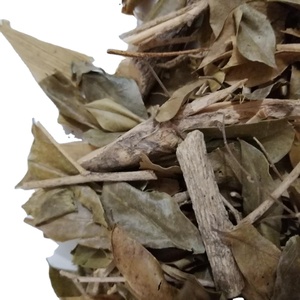 Jiu Li Xiang Kamuning Cortes secos naturales de alta calidad Hoja Et Cacumen <span class=keywords><strong>Murraya</strong></span> Dry <span class=keywords><strong>Murraya</strong></span> <span class=keywords><strong>Paniculata</strong></span> Ramita Hojas - Product Image 3