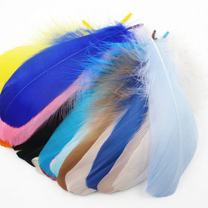 Plumes de canard naturelles en vrac pour <span class=keywords><strong>la</strong></span> décoration de mariage, les arrangements floraux, <span class=keywords><strong>la</strong></span> fabrication de chapeaux et les loisirs créatifs - Product Image 1